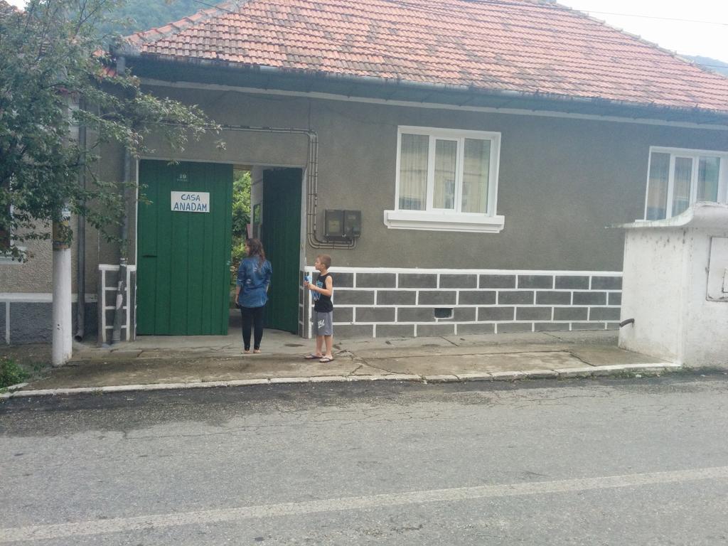 Pension Casa Anadam Băile Herculane Extérieur photo