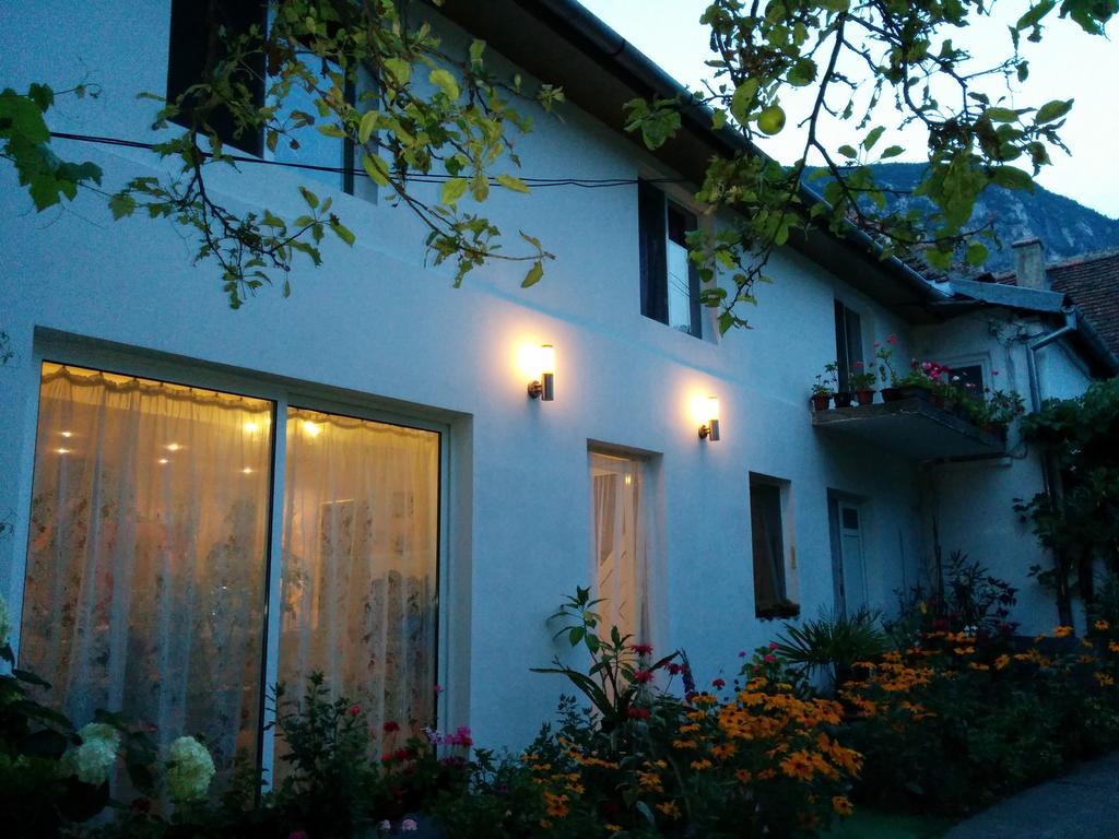 Pension Casa Anadam Băile Herculane Extérieur photo
